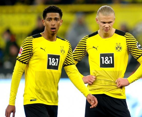 当时可得信 当时可得信